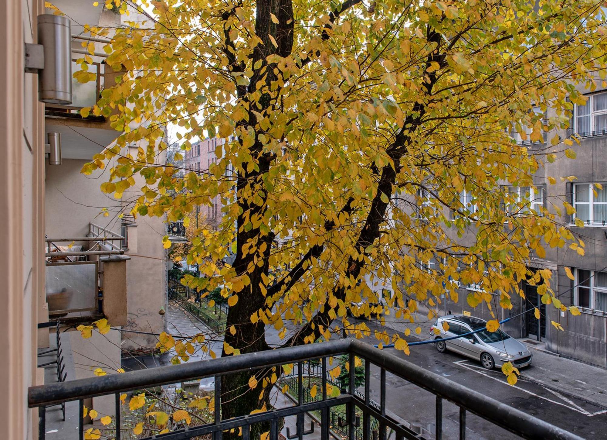 3D Wygoda Apartamenty Krakau Zimmer foto